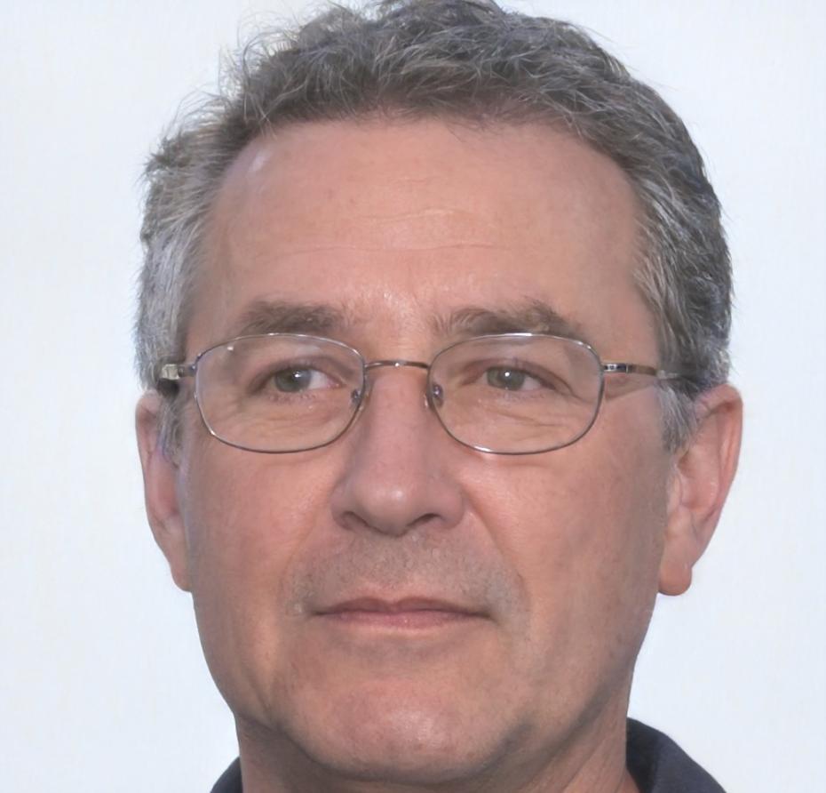 Instructor principal del programa